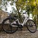 Ecobike LX300 Greenway електрически велосипед бял 1010306 19