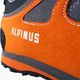 Мъжки обувки Alpinus The Ridge Low Pro anthracite/orange 12