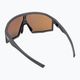 Очила за колоездене GOG Ares матово сиво / черно / полихромно златно E513-2P 2