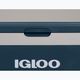 Компресорен хладилник Igloo ICF60 59 л син 9