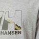 Helly Hansen Nord Graphic 950 мъжка риза за трекинг светло сива 62978 4