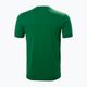 Мъжка тениска за трекинг Helly Hansen Nord Graphic 486 green 62978 5