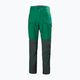 Мъжки панталони за трекинг на Helly Hansen Verglas Tur 486 green 63000 4
