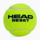 HEAD Reset Полибаг топки за тенис 72 бр. зелени 575030 2