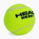 HEAD Reset Полибаг топки за тенис 72 бр. зелени 575030 3