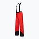 Мъжки панталони за ски алпийски дисциплини Peak Performance M червени G76609010 3