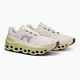Мъжки обувки за бягане On Running Cloudmonster frost/acacia 10