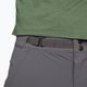 Мъжки панталони за катерене Black Diamond Technician Pro Alpine grey AP743042 4
