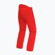 Мъжки ски панталони Dainese Dermizax Ev high/risk/red 2