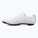Мъжки обувки за шосе Fizik Tempo Decos Carbon white/white 9