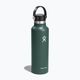 Термобутилка Hydro Flask Standard Flex Straw 620 ml ела 2