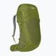 Мъжка раница за трекинг Lowe Alpine AirZone Trek 35 + 10 l fern