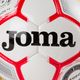 Joma Egeo Футбол Червено и бяло 400523.206 3