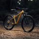Orbea планински велосипед Laufey H30 2023 златен N24917LX 7