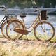 Kellys Royal Dutch 460 градски велосипед черен 72362 8
