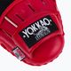 YOKKAO Institution Focus Mitts-Close training discs red FYMS-2 4