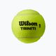 Wilson Triniti TBall топки за тенис 4 бр. жълти WRT115200+ 2
