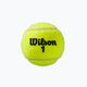 Wilson Roland Garros Clay Ct топки за тенис 3 бр. жълти WRT125000 3
