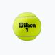 Wilson Roland Garros All Ct топки за тенис 3 бр. жълти WRT126400 2