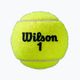 Топки за тенис Wilson Roland Garros All CT 4 бр. жълти 5