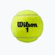Wilson Roland Garros All Ct 4 Ball топки за тенис 2Pk 8 бр. жълти WRT116402 4