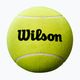 Wilson Roland Garros Mini Jumbo 5" жълта топка за тенис с автограф