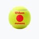 Детски топки за тенис Wilson Minions Stage 3, жълти WR8202701 3