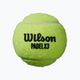 Wilson Padel Speed Balls 3 бр. жълти WR8901101001 2