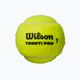 Wilson Triniti Pro Tball топки за тенис 4 бр. жълти WR8204801001 2