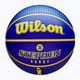 Wilson NBA Player Icon Outdoor Curry баскетбол WZ4006101XB7 размер 7