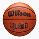 Wilson NBA баскетбол JR Drv Fam Logo кафяв размер 7