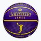 Уилсън NBA играч икона Открит баскетбол Lebron син размер 7 7