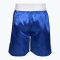 Мъжки къси панталони за тренировка Everlast Trunks Pro blue/white 2