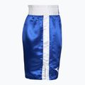 Мъжки къси панталони за тренировка Everlast Trunks Pro blue/white 3