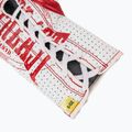 Боксови ръкавици Everlast Fight Leather red 6
