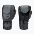 Боксови ръкавици Everlast Prospect 2 black 3