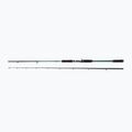 Abu Garcia Beast X Pike 842 Xh 40-140G Casting green 1528376