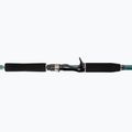Abu Garcia Beast X Pike 842 Xh 40-140G Casting green 1528376 3
