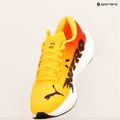Мъжки обувки за бягане PUMA Deviate Nitro 3 Fade sun stream/sunset glow/puma white 18