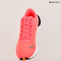 Дамски обувки за бягане PUMA Electrify Nitro 3 Fade sun stream/sunset glow/puma white 18