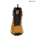 Мъжки обувки за трекинг Columbia Newton Ridge Plus II Wp elk/black 18