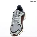 Nike Pegasus 41 GTX дамски обувки за бягане светла пемза/ бордо crush/ тъмно сиво дим/ пепеляво шисти 9