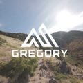 Туристическа раница Gregory Kiro 24 l RC lava red 5