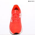 Дамски обувки за бягане New Balance FuelCell Propel v5 rain cloud 9