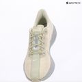 Мъжки обувки за бягане Nike Pegasus Plus ESS sea glass/chalk/pure platinum/white 10