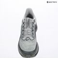 Мъжки обувки за бягане Nike Pegasus Premium wolf grey/cool grey/anthracite/sail 9