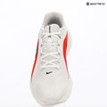 Мъжки обувки за бягане Nike Downshifter 14 white/summit white/bright crimson/black 10