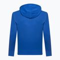 Мъжки суитчър GAP XLS FT Arch FZ HD admiral 013 4
