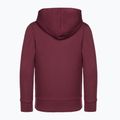 Детски суитшърт GAP V-Fall Fash Logo FZ deep grannet red 2