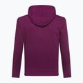 Мъжки суитчър GAP V-Heritage Logo PO SNL beach plum 3